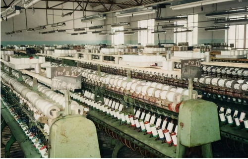 江蘇新首富易主 低調(diào)的陳建華，超越劉強(qiáng)東的商業(yè)傳奇